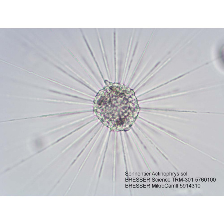bresser-science-trm-301-professional-microscope_5
